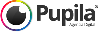 Pupila BIZ Logo
